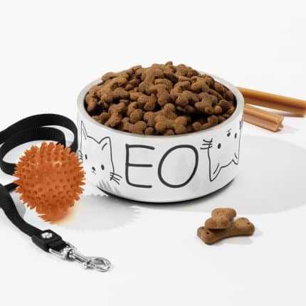 Meow Pet bowl
